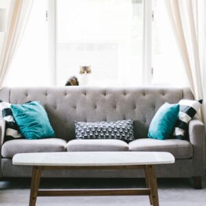 Gray Fabric Sofa with Cushions